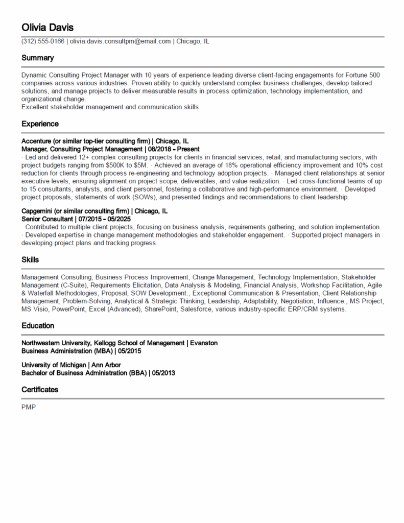 10. Consulting Project Manager