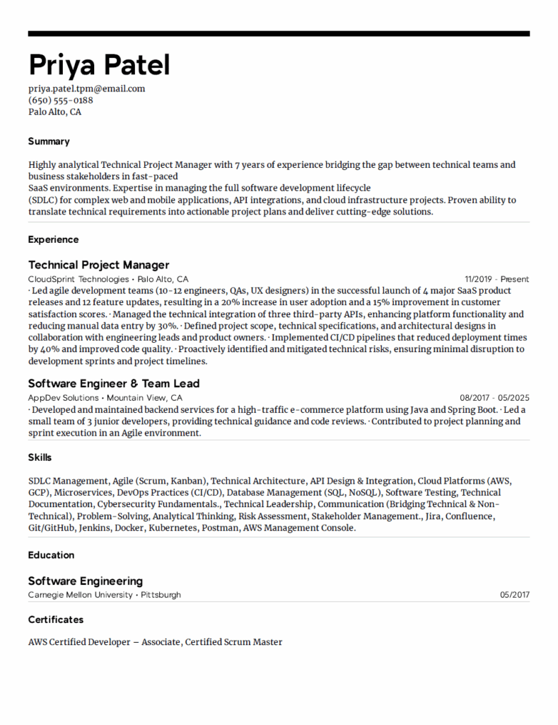 8. Technical Project Manager